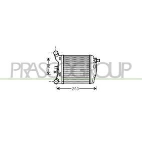 Ladeluftkühler FT030N002 für ABARTH