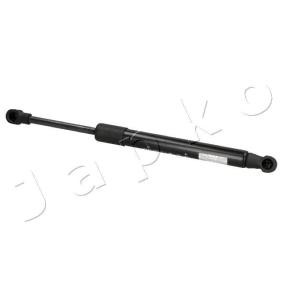 Heckklappendämpfer ZSJ01057