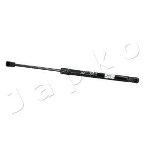 Heckklappendämpfer ZSJ05052