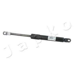Heckklappendämpfer ZSJ09099