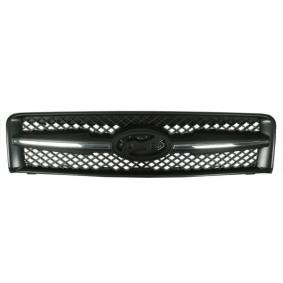 Kühlergrill 6502-07-3175990P