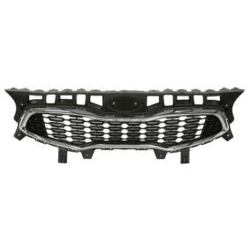 Kühlergrill 6502-07-3268990P