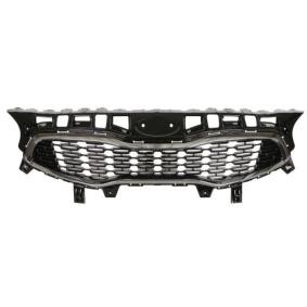 Kühlergrill 6502-07-3268991P