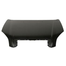 Motorhaube 6803-00-3175280Q