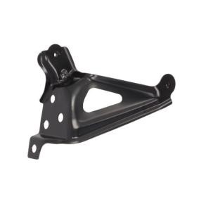 Halter, Kotflügel 7802-03-8140381P