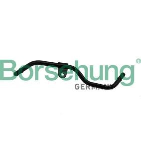 Acquista Condotto del refrigerante da Borsehung B19265 a buon mercato per soli 17,19 €