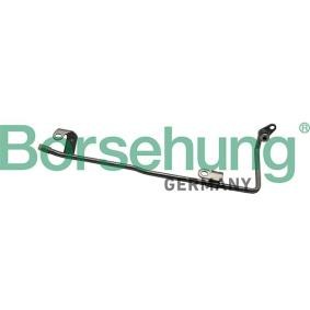 Compre Tubo do líquido de refrigeração da Borsehung B19268 a um preço baixo por 26,36 €