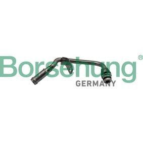 Acquista Condotto del refrigerante da Borsehung B19269 a buon mercato per soli 20,91 €