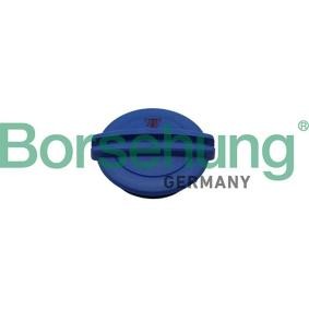 Verschlussdeckel, Kühlmittelbehälter von Borsehung