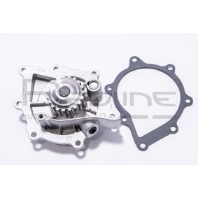 Achetez des Pompe à eau RED-LINE 28RV016 à prix pour 42,50 €