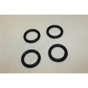 Acquista Guarnizione, Collettore aspirazione da RED-LINE 34MZ027 a buon mercato per soli 24,88 €