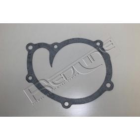 Dichtung, Wasserpumpe 34TA005