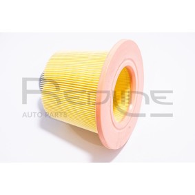 Luftfilter 36FO001 für FORD USA
