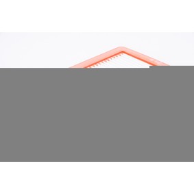 Køb Luftfilter af RED-LINE 36NI068 til den lave pris 541,20 DKK