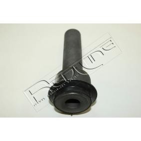 Lagerung, Lenker 43NI032 für RENAULT