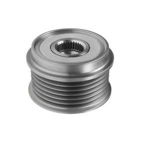 Achetez des Poulie roue libre, alternateur GOOM AP-0016 à prix pour 50,90 €