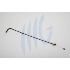 Gaszug für FIAT von RICAMBIFLEX GM