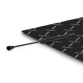 Gasfeder, Verdeck 1207G0006