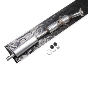 Acquista Catalizzatore da RIDEX 429C0735 a buon mercato per soli 442,45 €