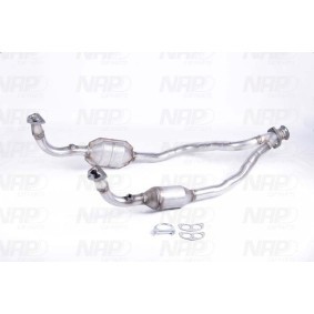 Acquista Catalizzatore da NAP carparts online per Discovery II (L318) a prezzi moderati