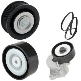 Comprar Juego de correas trapeciales poli V de RIDEX 542R0541 a bajo precio de 106,61 €