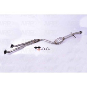 Katalysator CAK10060