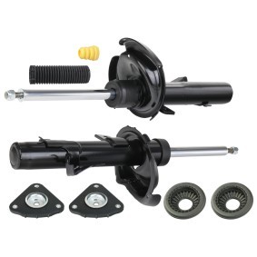 Stoßdämpfer-Set 1185S0005