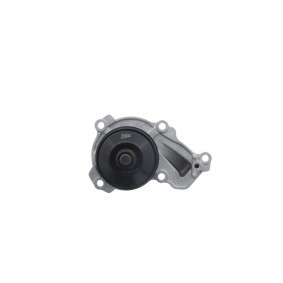 Wasserpumpe von VALEO 529195