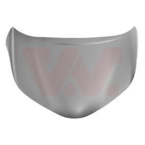 Motorhaube 5411660