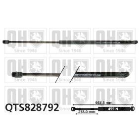 Heckklappendämpfer QTS828792
