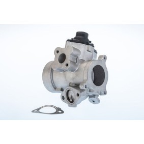 Acquista Valvola EGR da WAHLER 710974R a buon mercato per soli 264,09 €