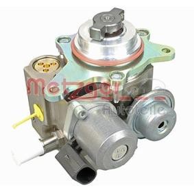 Achetez des Pompe à injection METZGER 2250356 à prix pour 924,48 €