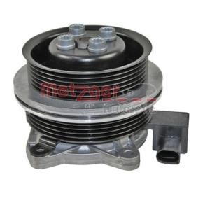 Achetez des Pompe à eau METZGER 4007033 à prix pour 148,55 €