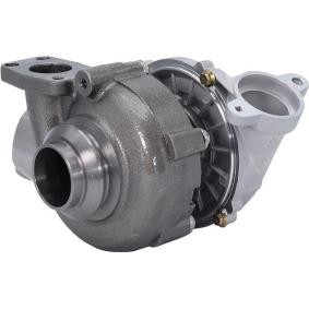 Kjøp Turbolader av MAGNETI MARELLI 807101007000 til den lave prisen 6087,34 NOK