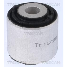 Lagerung, Lenker von TRISCAN