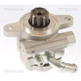 Servopumpe von TRISCAN