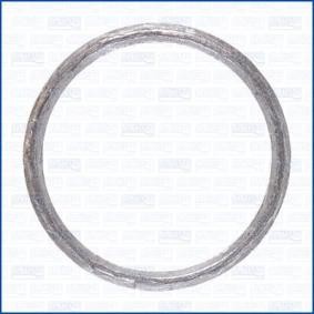 Turboladerdichtung 01381900