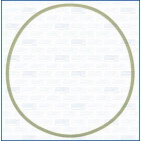 Dichtung, Ansaugkrümmergehäuse 24047100