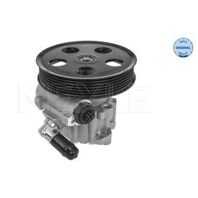 Achetez des Pompe de direction assistée MEYLE 114 631 0052 à prix pour 135,61 €