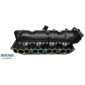 Ansaugbrücke BIM17001 für FIAT