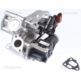 Comprar Válvula EGR de KAWE 8813 10108 a bajo precio de 934,89 €