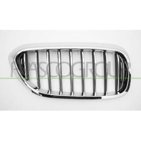 Kühlergrill BM0522013