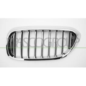 Kühlergrill BM0522014