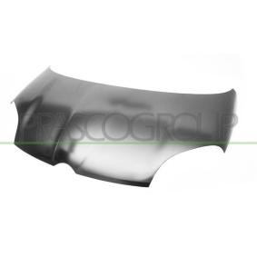Motorhaube FT1243130
