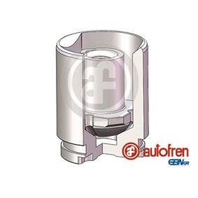 Kolben, Bremssattel D025778K von AUTOFREN SEINSA günstig für 24,66 € online kaufen