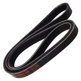 Compre Correia do alternador de MASTER-SPORT online para 5 (CR19) a preços moderados