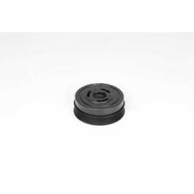 Comprar Polea de cigüeñal de BSG BSG 15-170-010 a bajo precio de 98,84 €