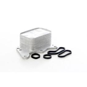 Achetez des Radiateur d'huile BSG BSG 15-506-041 à prix pour 49,56 €