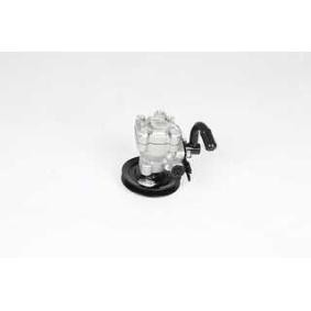 Servopumpe BSG 40-355-002