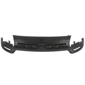 Kühlergrill 6502-07-0552991P